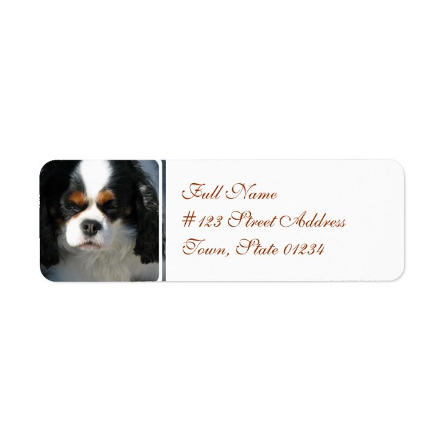 Etiqueta de correo-2 - Personalizada (Frente)