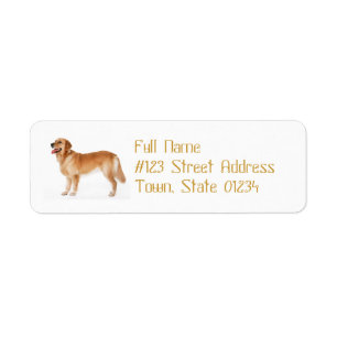 Etiqueta de correo alerta del golden retriever