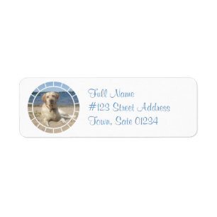 Etiqueta de correo amarilla del perro del labrador
