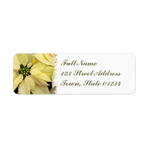 Etiqueta de correo blanca del Poinsettia