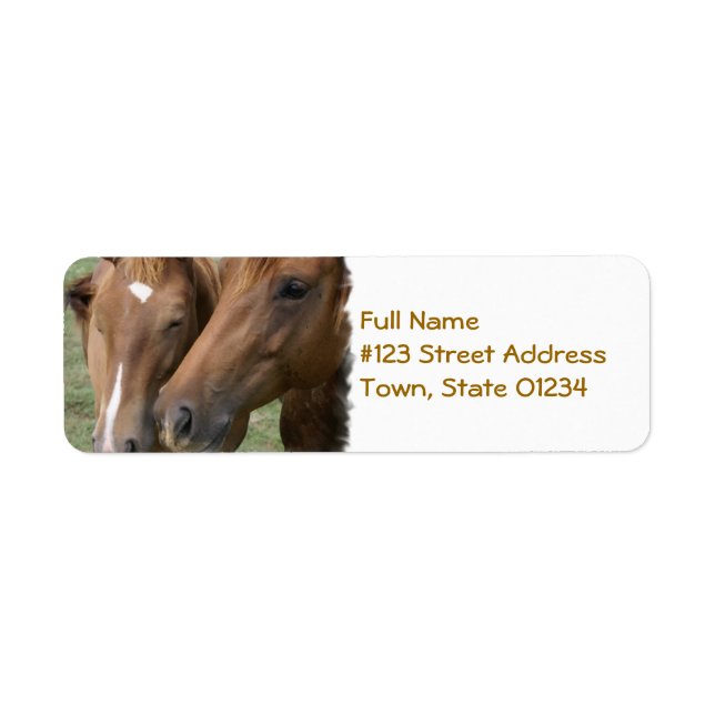 Etiqueta de correo de boquilla para caballos (Frente)