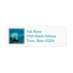 Etiqueta de correo de la foto del Manatee