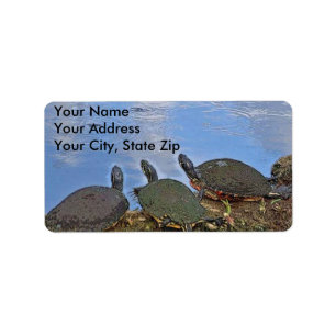 Etiqueta de correo de la tortuga