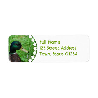 Etiqueta de correo de Mallard