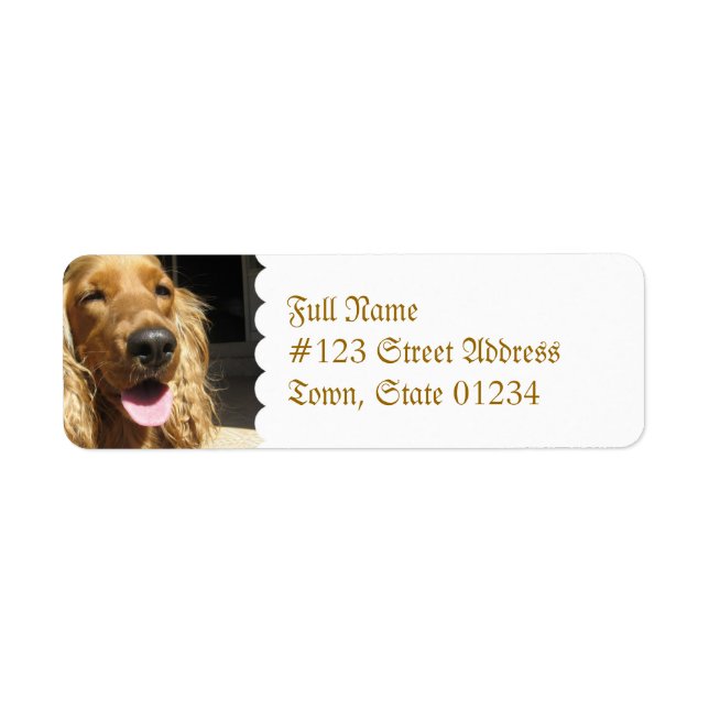 Etiqueta de correo de perros de España (Frente)