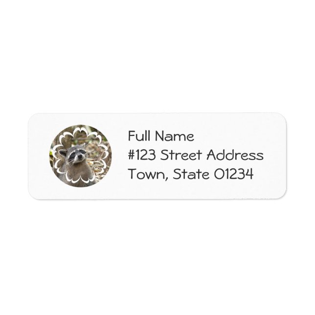Etiqueta de correo de Raccoon con máscara (Frente)