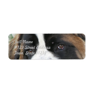 Etiqueta de correo de St Bernard