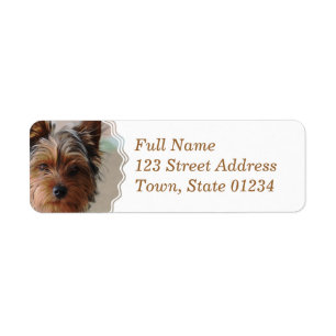 Etiqueta de correo de Yorkie Terrier