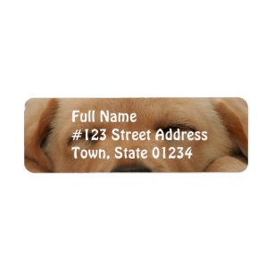 Etiqueta de correo del golden retriever el dormir