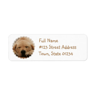 Etiqueta de correo del golden retriever el dormir