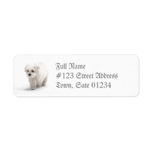 Etiqueta de correo del perro de Bichon Frise
