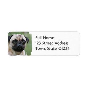 Etiqueta de correo del perro de perrito del barro