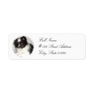 Etiqueta de correo del perro de Pomeranian del