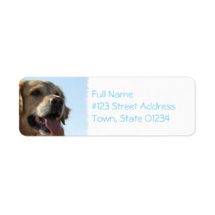 Etiqueta de correo del perro del golden retriever
