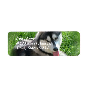 Etiqueta de correo del perro del husky siberiano