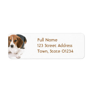 Etiqueta de correo del remite del perro del beagle