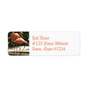 Etiqueta de correo Flamingos