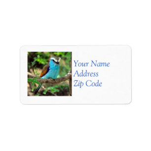 Etiqueta de correo hermosa del Bluebird