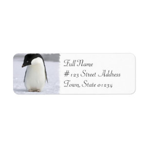 Etiqueta de correo sola del remite del pingüino