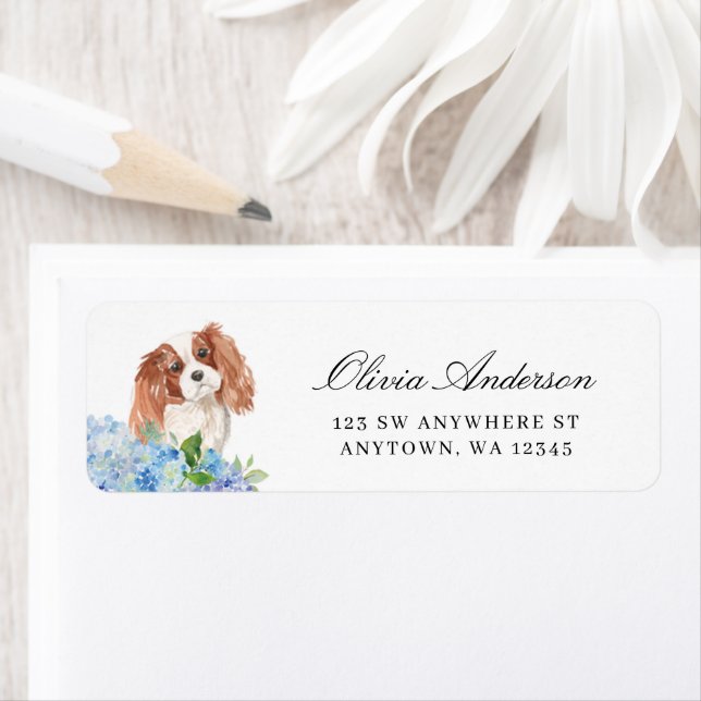 Etiqueta de dirección Cavalier King Charles Spanie (In situ)