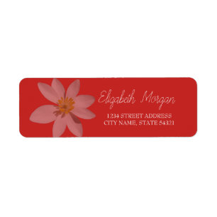Etiqueta de dirección Chic Romantic White Daisy