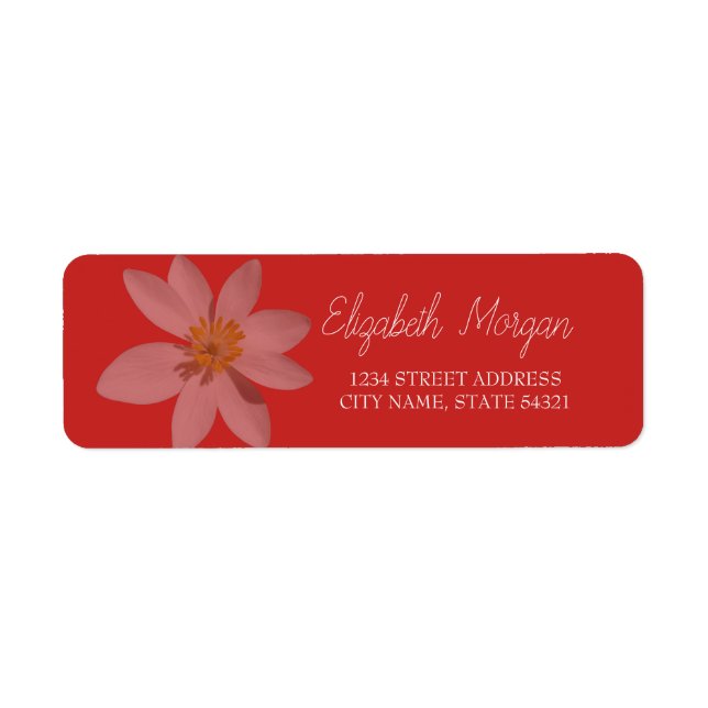 Etiqueta de dirección Chic Romantic White Daisy (Frente)