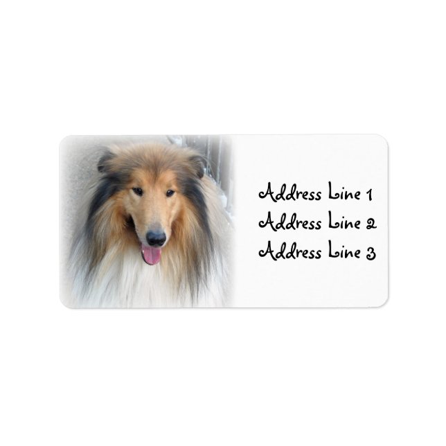Etiqueta de dirección con foto de Collie (Frente)