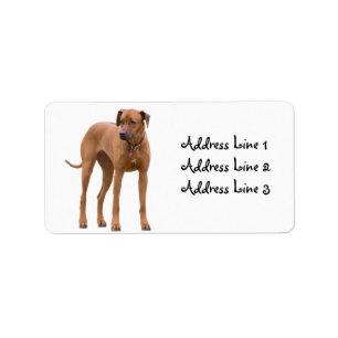 Etiqueta de dirección con foto de perro Rhodesian