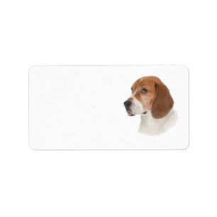 Etiqueta de dirección de Beagle