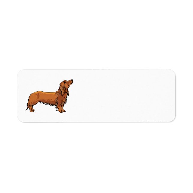 Etiqueta de dirección de Dachshund (Frente)