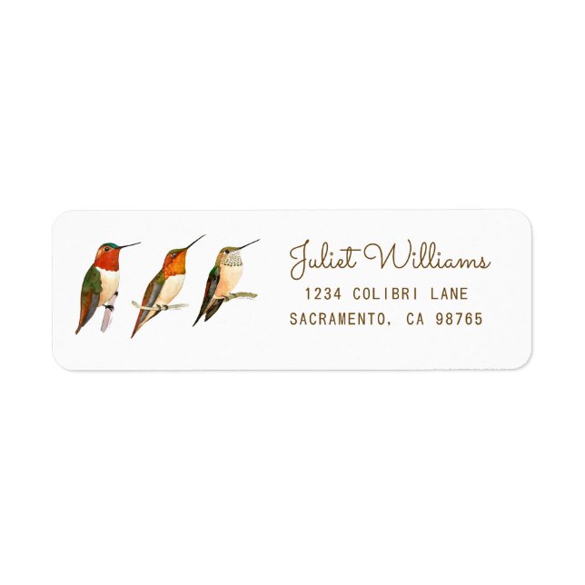 Etiqueta de dirección de devolución de Colibrí (Frente)