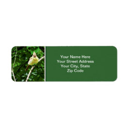 Etiqueta de dirección de devolución de foto de páj