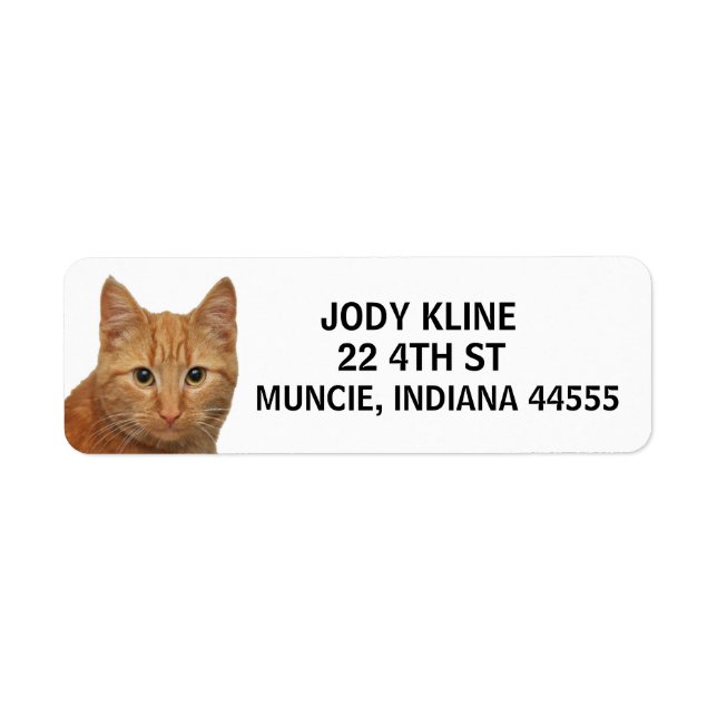 Etiqueta de dirección de devolución de GINGER CAT (Frente)