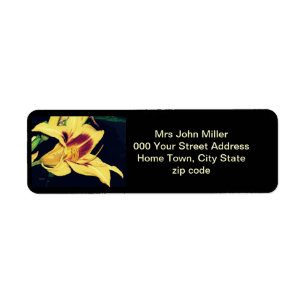 Etiqueta de dirección de devolución de Lirio Amari