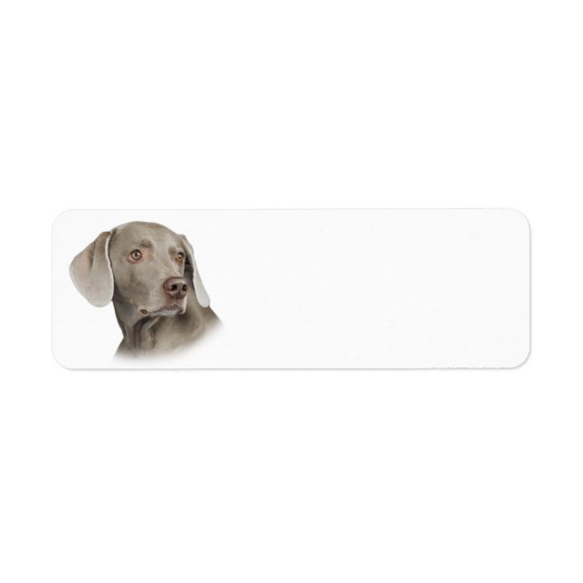 Etiqueta de dirección de devolución de Weimaraner (Frente)