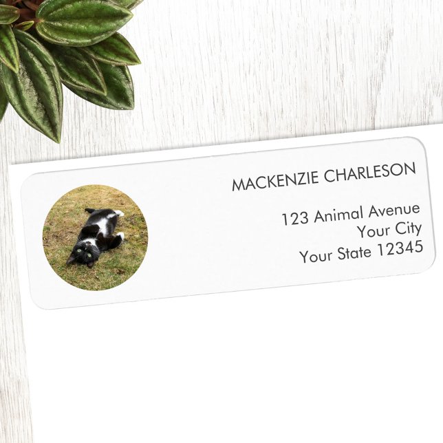 Etiqueta de dirección de devolución del círculo de (Personalized pet photo circle frame custom return address label)