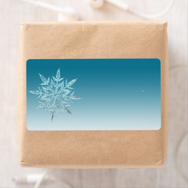Etiqueta de dirección de devolución Snowflake . (In situ)