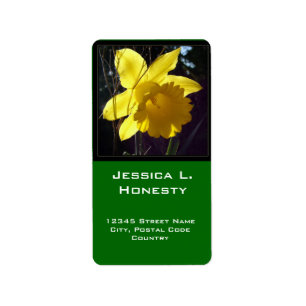 Etiqueta de dirección de flor daffodil amarillo br