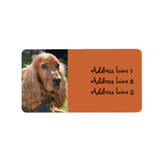 Etiqueta de dirección de foto de Cocker Spaniel
