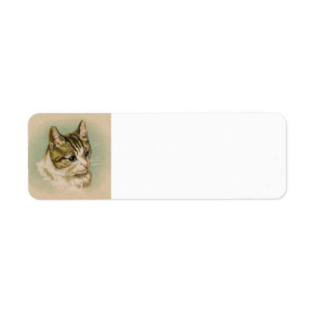 Etiqueta de dirección de gatito (Frente)