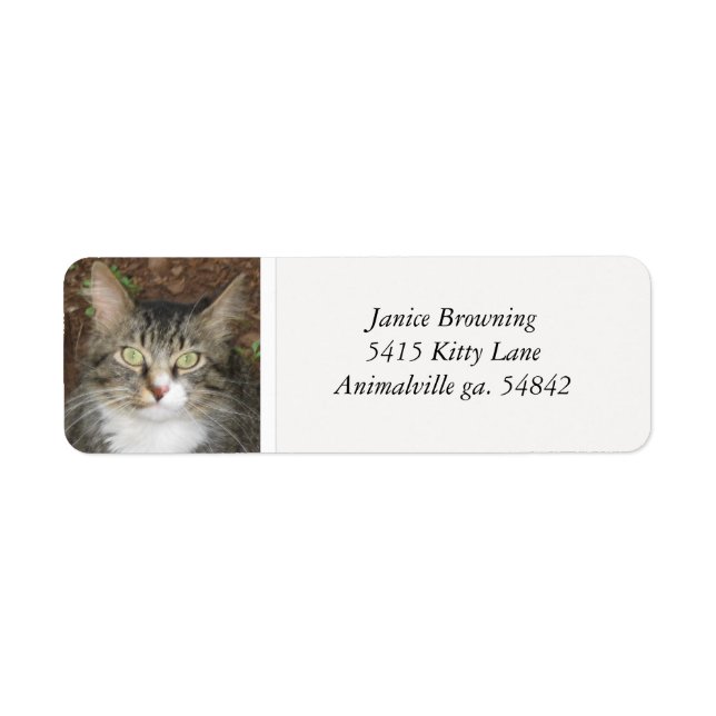 Etiqueta de dirección de gato Kitty (Frente)
