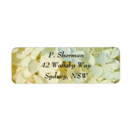 Etiqueta de dirección de hipoglucemia blanca cremo