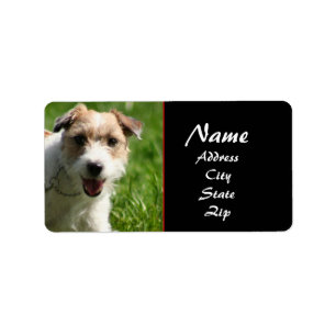 Etiqueta de dirección de Jack Russell terrier