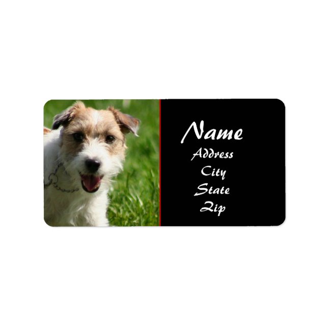 Etiqueta de dirección de Jack Russell terrier (Frente)