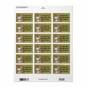 Etiqueta de dirección de la ardilla