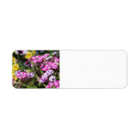 Etiqueta de dirección de petunia rosa