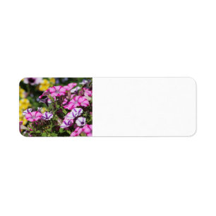 Etiqueta de dirección de petunia rosa