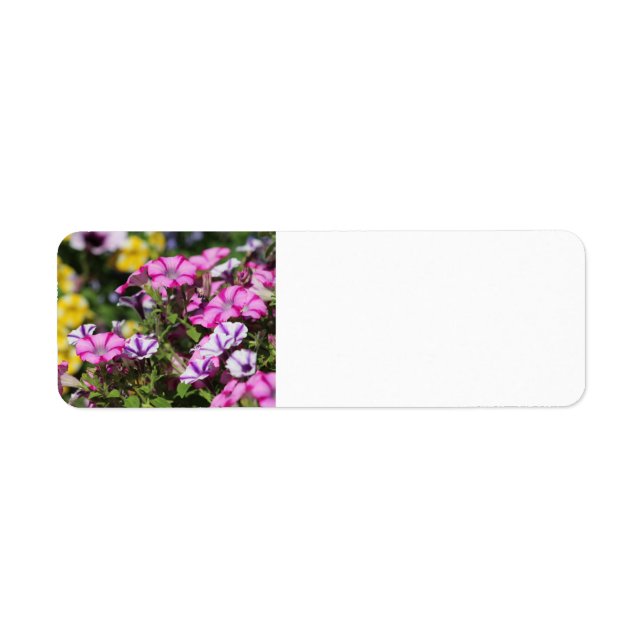 Etiqueta de dirección de petunia rosa (Frente)