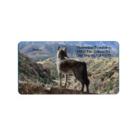 Etiqueta de dirección de retorno