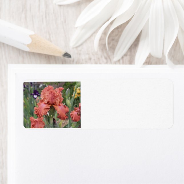 Etiqueta de dirección de retorno (In situ)